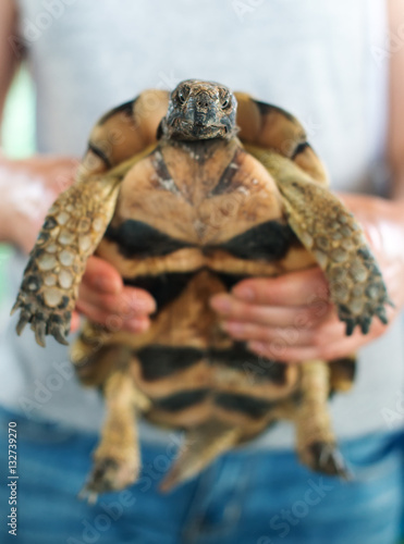 Woman holding turtle in her hands.