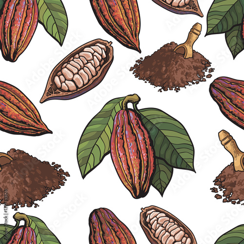 Seamless pattern of cacao fruit, beans and powder on white background, sketch style illustration. Cacao fruit, beans, powder forming seamless pattern for print, textile, wrap, backdrop design
