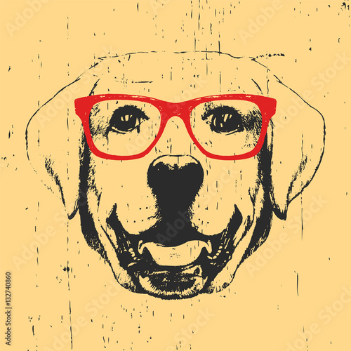 Portrait of Labrador with glasses. Hand drawn illustration. Vector.