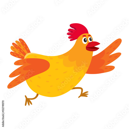 Funny cartoon red and orange chicken, hen rushing, hurrying somewhere, cartoon vector illustration isolated on white background. Cute and funny colorful chicken running somewhere enthusiastically © sabelskaya