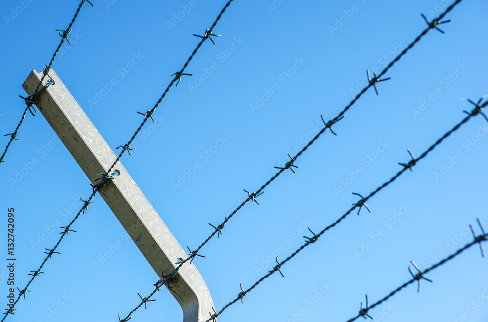 Coiled razor wire with its sharp steel barbs on top of a mesh perimeter fence ensuring safety and security, preventing access or the escape prisoners, blue sky background Coiled razor wire with its sharp steel barbs on top of a mesh perimeter fence ensuring safety and security, preventing access or the escape prisoners, blue sky background
