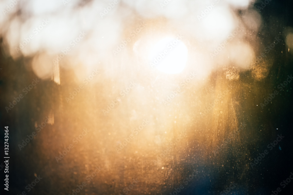 Abstract morning sunlight, blur background copy space