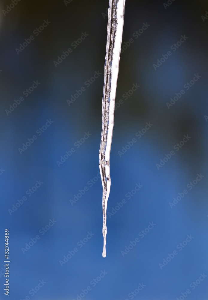 shiny clear dripping icicle on blue sky background shiny clear dripping icicle on blue sky background