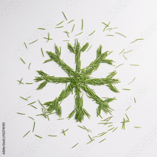 Green snowflake of the needles