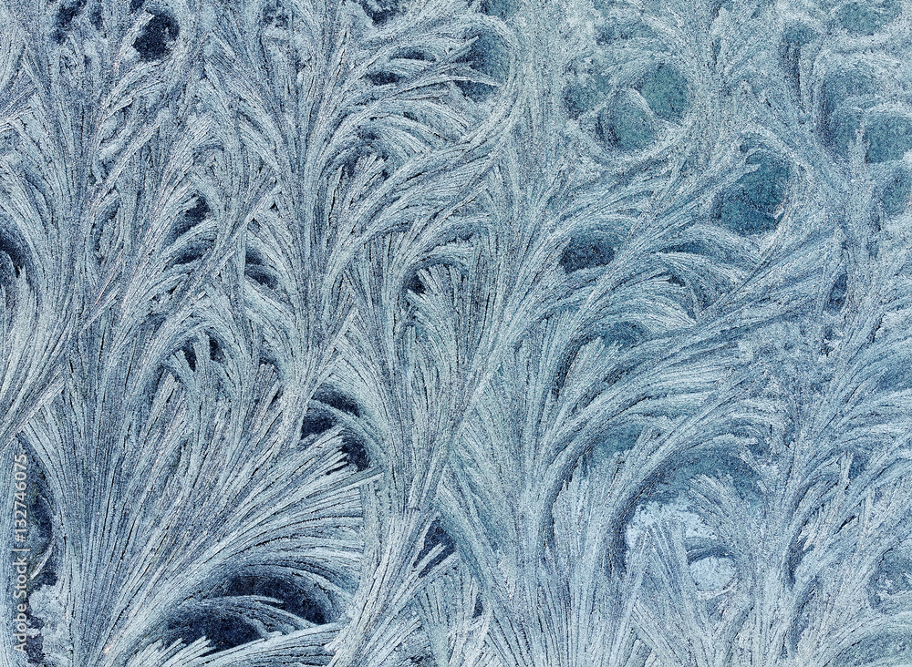 Fototapeta premium beautiful abstract background from frosty pattern on glass in the form of furry twigs and feathers