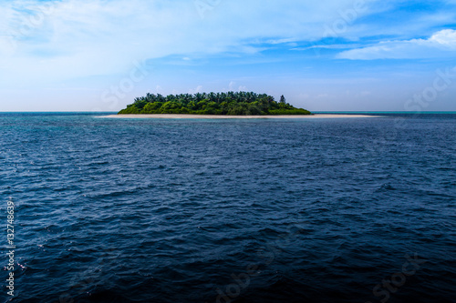 tropische Insel mit Palmen in blauem Ozean
