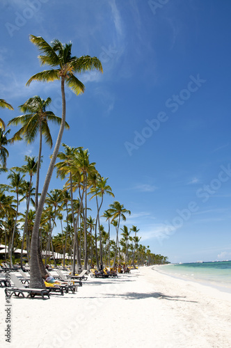 Vertical image of the beach on the paradise island with white sand and tall palm trees. Saona island, Dominican Republic photo