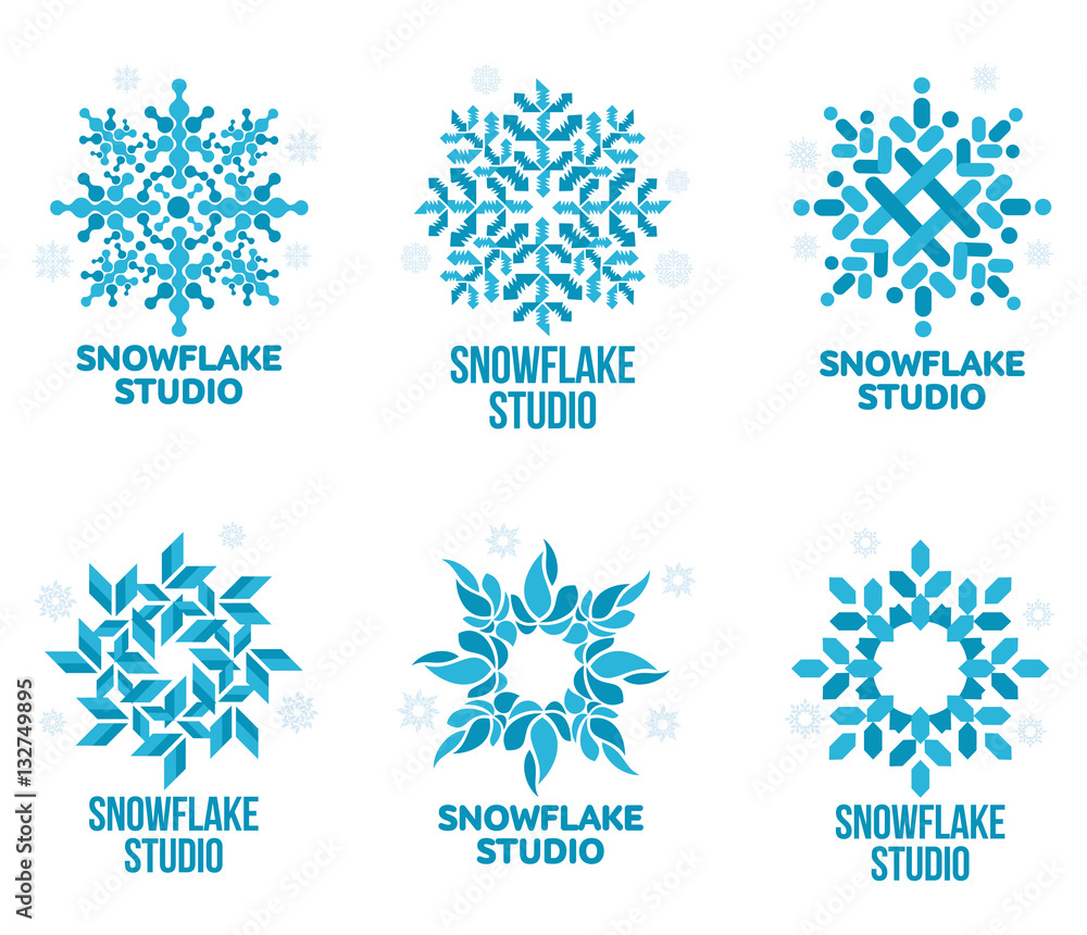 Snowflake Icon Logo Template Vector Graphic by Nur design · Creative Fabrica
