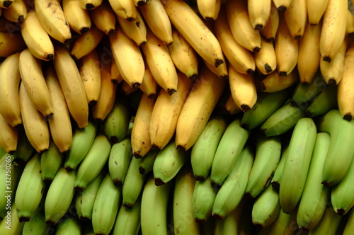 Bananas