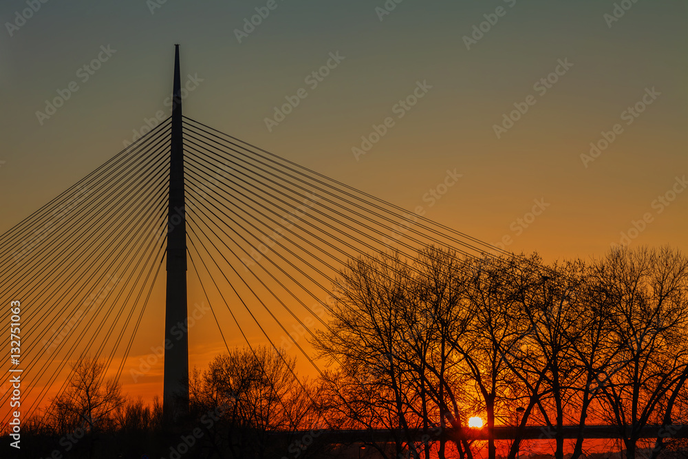 The highest bridge in the world with one carrier pylon, Belgrade, Serbia, HDR Image.
