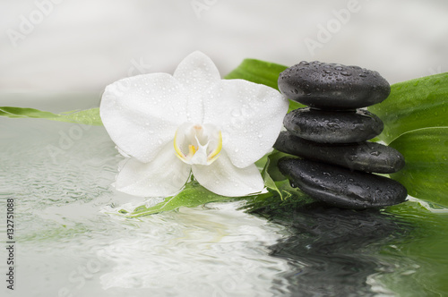 Fototapeta Naklejka Na Ścianę i Meble -  spa Background - orchids black stones and bamboo on water