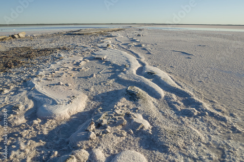 Salt lagoon  La Pampa  Argentina