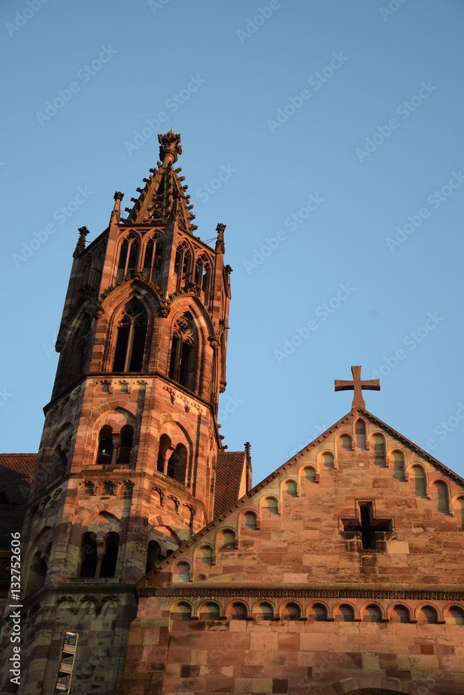 Freiburger Münster Freiburger Münster
