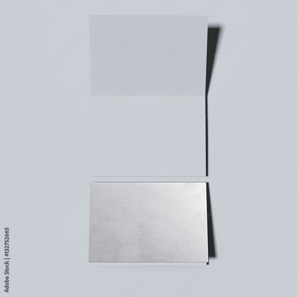 Silver closed and opened leaflets. 3d rendering Silver closed and opened leaflets. 3d rendering
