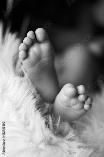 baby feet in warm blanket photo