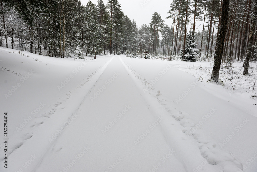 Fototapeta premium car tire tracks on winter road