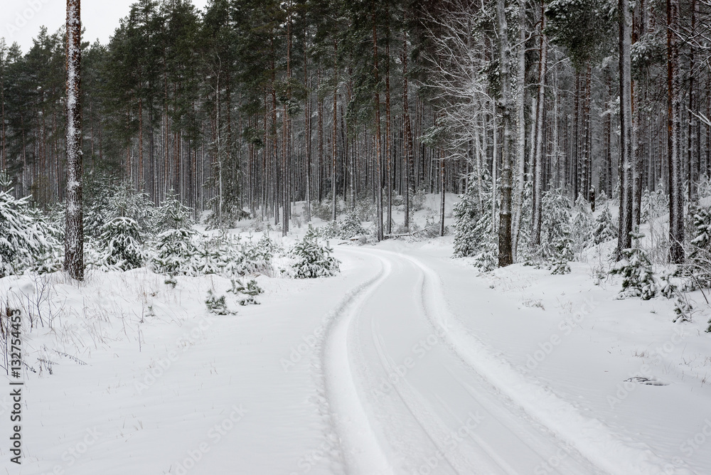 Fototapeta premium car tire tracks on winter road