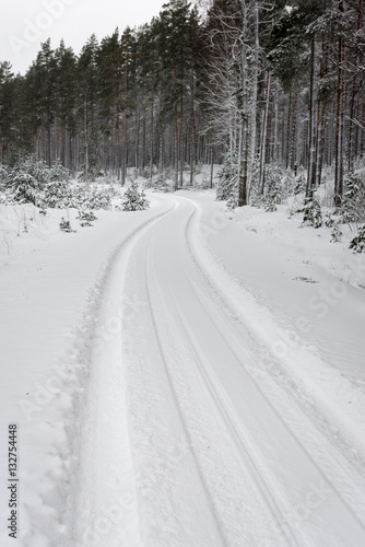 car tire tracks on winter road
