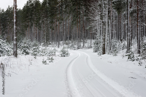car tire tracks on winter road