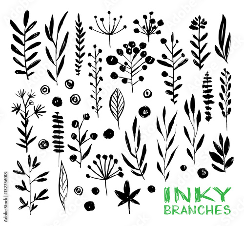 Papier peint Vector black hand drawn botanical elements inky set, ink painted branches and le