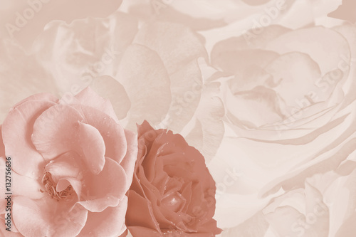 Holiday card with  roses, sepia