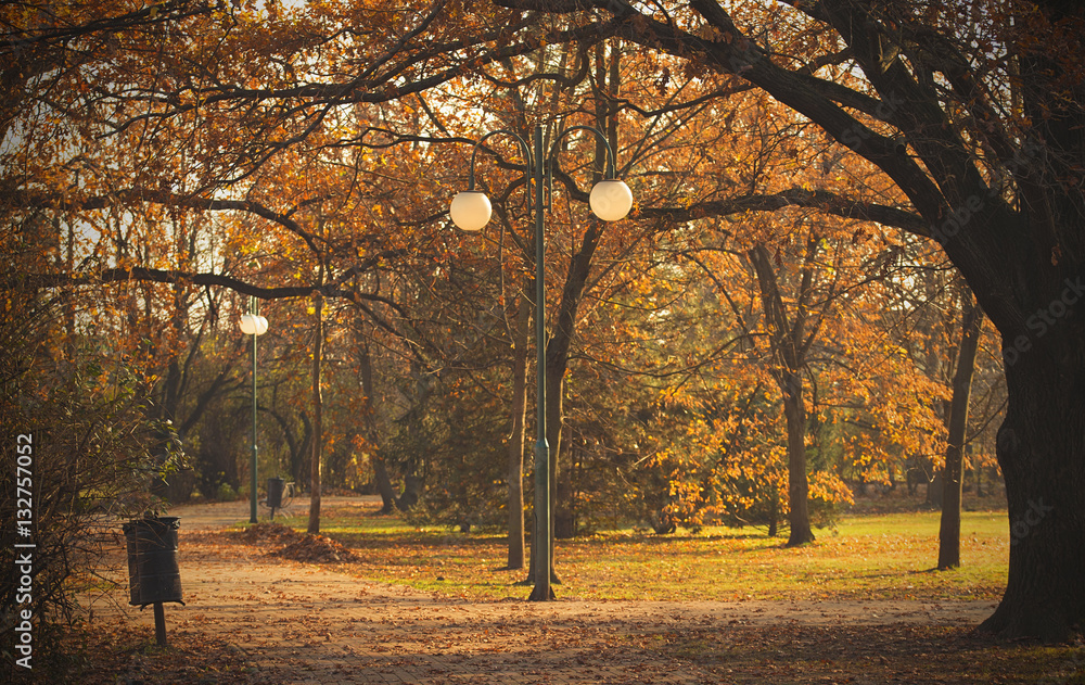 Naklejka premium Photo of a beauty autumn park