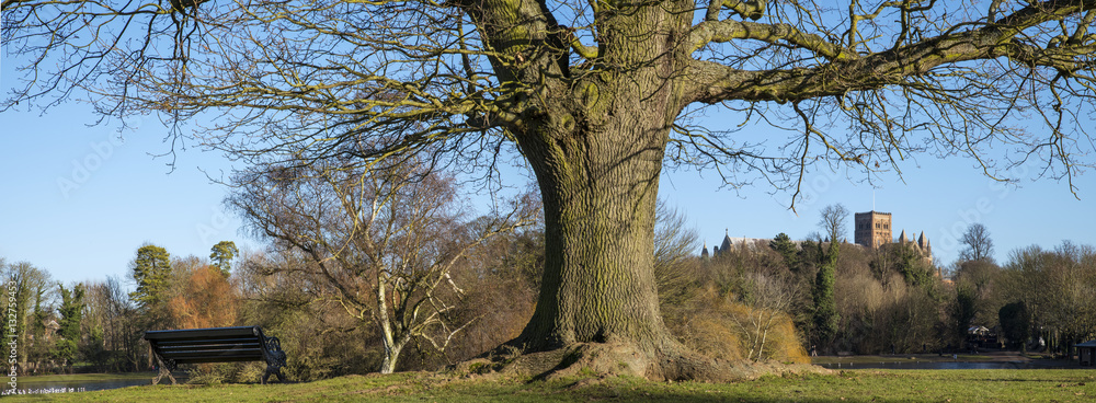 Obraz premium St. Albans in England