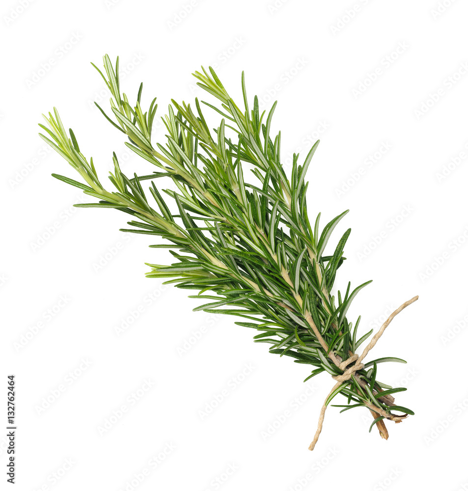 fresh rosemary bunch