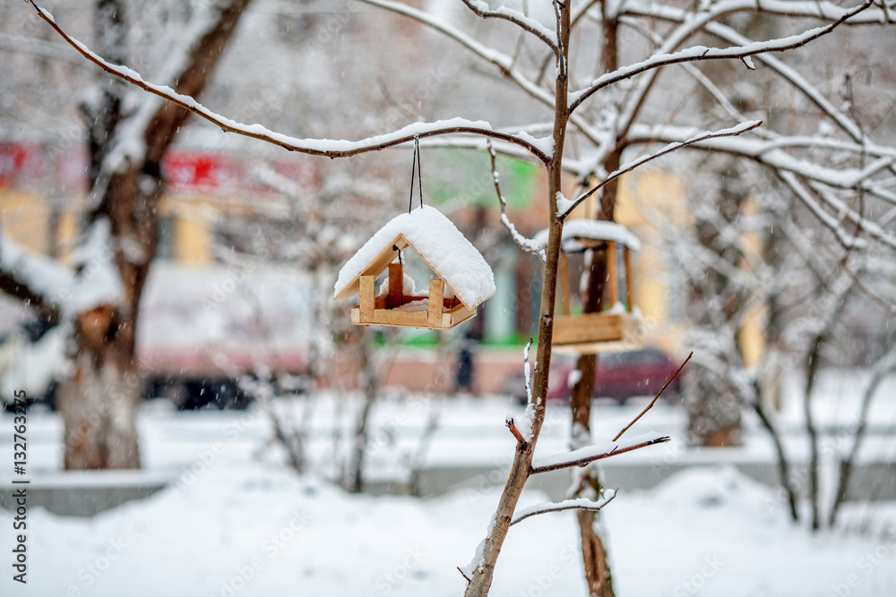 Winter ladscape, the bird feeder on the tree Winter ladscape, the bird feeder on the tree