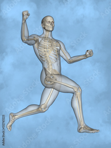 Human skeleton M-SK-POSE M4ay-24-tr50-1, 3D Model