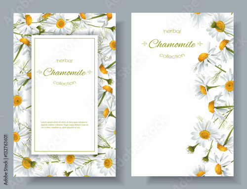 Chamomile flower banners