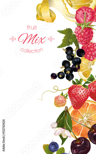 Fruit and berry banner