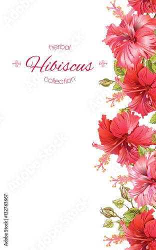 Hibiscus flower banner