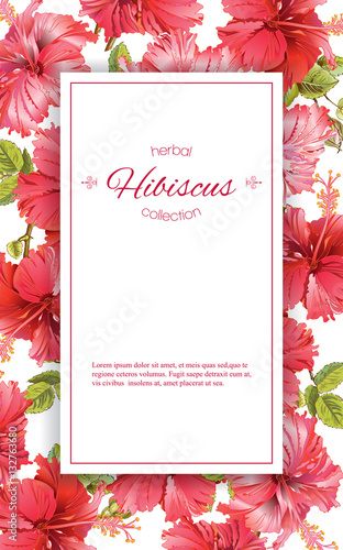 Hibiscus flower banner