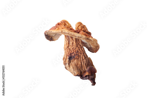 Dried mushroom isolated on white background
