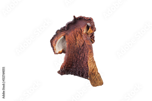 Dried mushroom isolated on white background