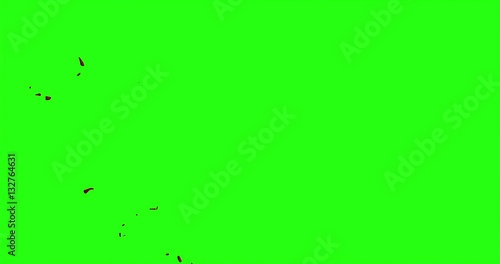 4k Blood Burst Motion Blur (Green Screen) 166