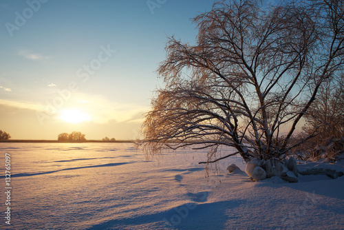Beautiful winter landscape with frozen lake, big tree and sunset