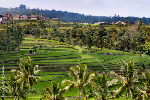Indonesia Jatiluwih rice fields green terraces landscape panorama