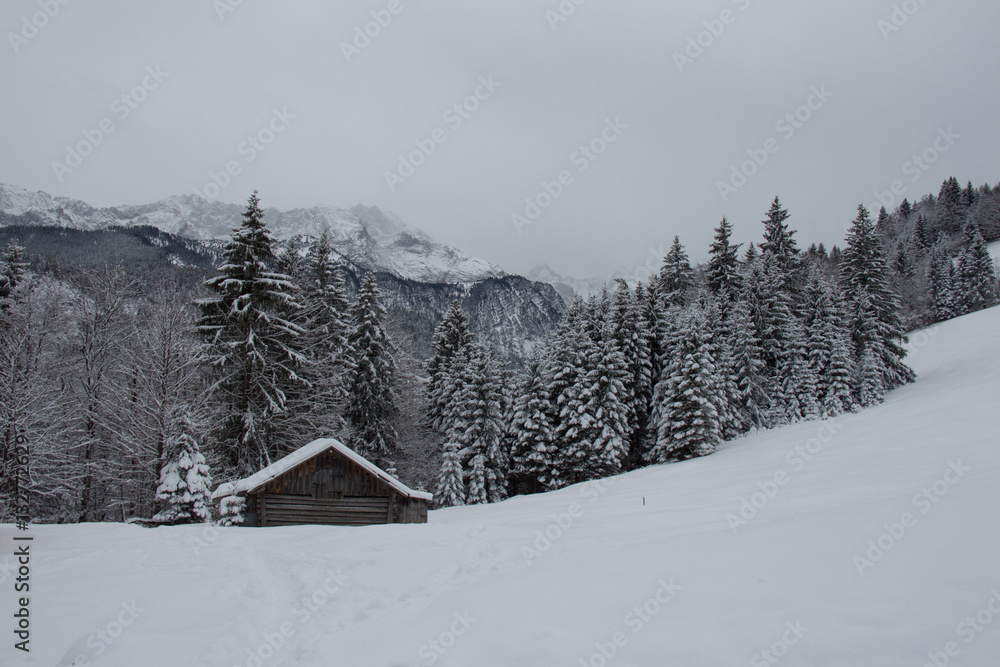Winter landscape with wooden house, trees and mountains on background near Garmisch-Partenkirchen. Germany.