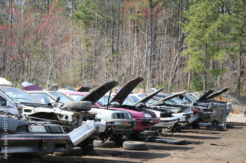 Row of junker cars with hoods lifted in rural salvage yard. Horizontal.
