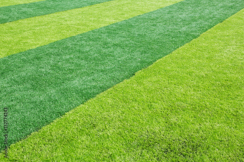 Green grass texture in soccer Field © ParinPIX