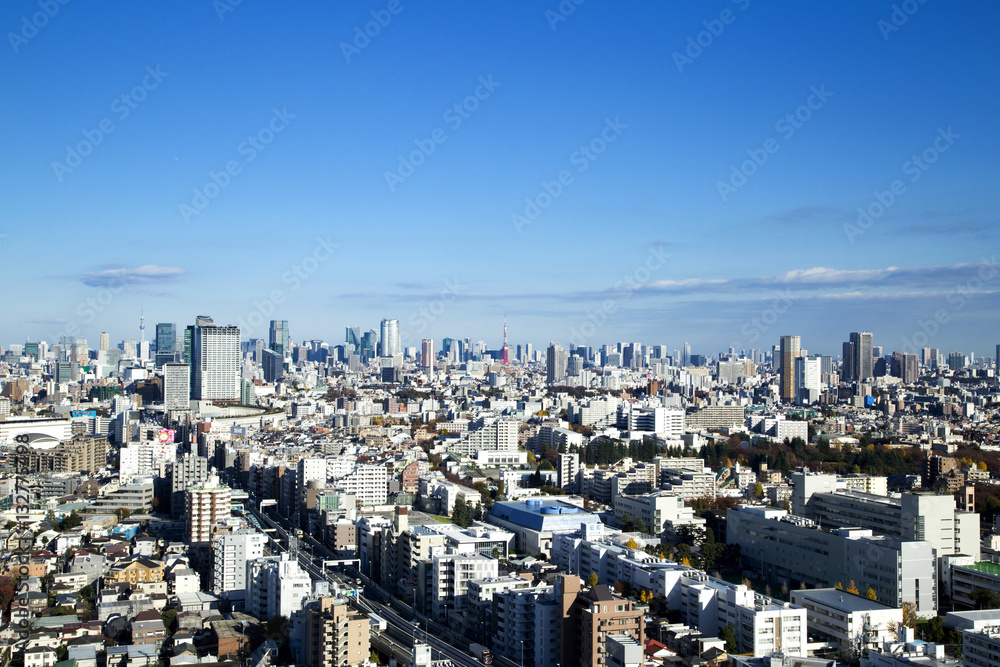 Fototapeta premium 東京の都市風景