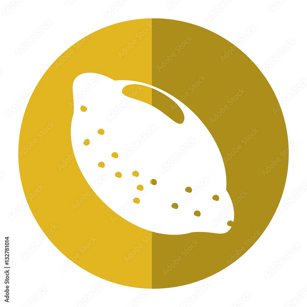citrus lemon vitamin nature shadow vector illustration eps 10 citrus lemon vitamin nature shadow vector illustration eps 10