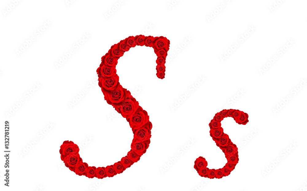 Rose alphabet - Alphabet letter S and s made from red rose bloss Rose alphabet - Alphabet letter S and s made from red rose bloss