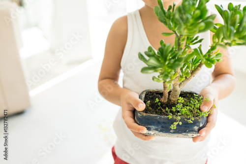 Kid holding plant growing organic herbs for cooking at home heal