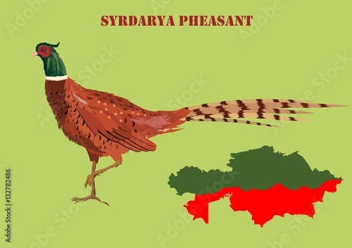 Middle Asian Pheasant, area in Kazakhstan vector illustration