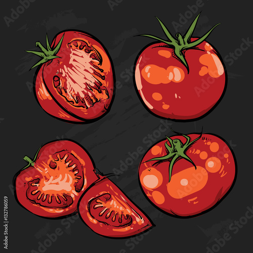 Tomato vector drawing on a white background. Isolated tomato and sliced piece. Vegetable engraved style illustration. Detailed vegetarian food sketch. Farm market product.
