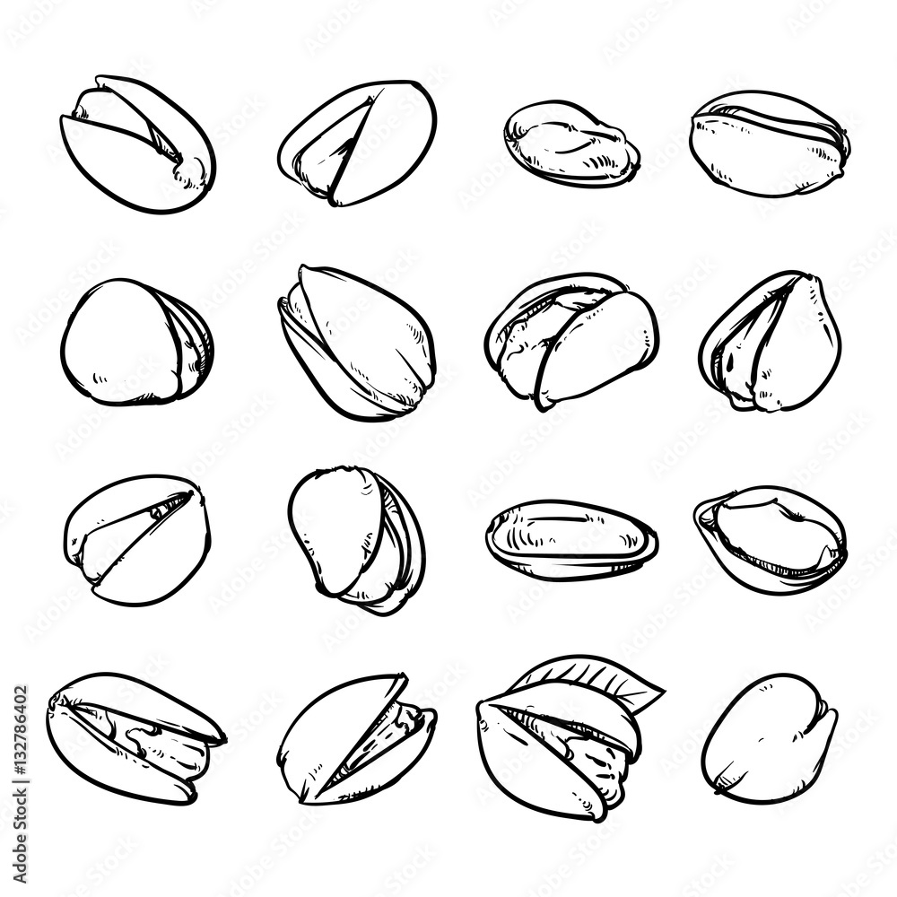 Set of Pistachios, Hazelnuts, Pistachios. Hand drawn sketch Pist Set of Pistachios, Hazelnuts, Pistachios. Hand drawn sketch Pist