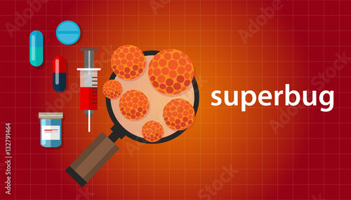 superbug strain of bacteria that has become resistant to antibiotic drugs